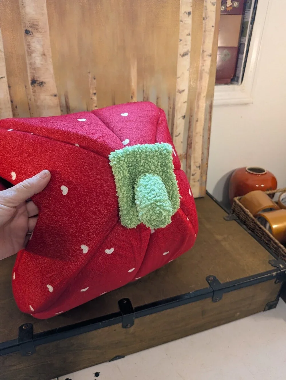 Cat Bed Strawberry Removable Pad